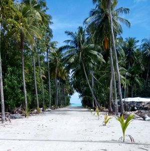 Meet your Posher, Fouad